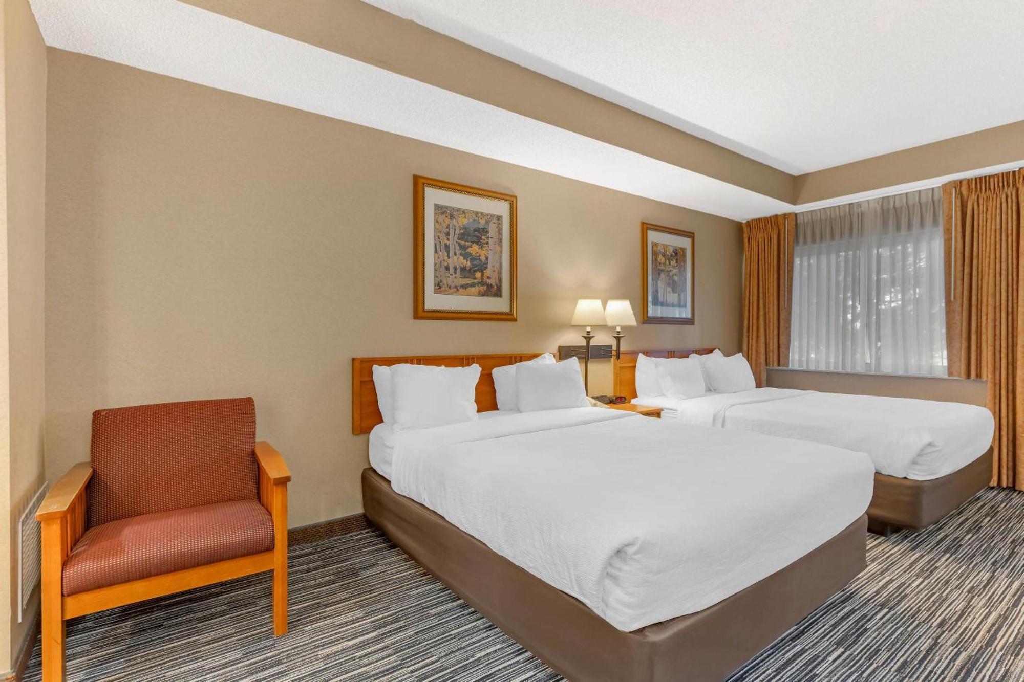 Quality & - Collins Hotel